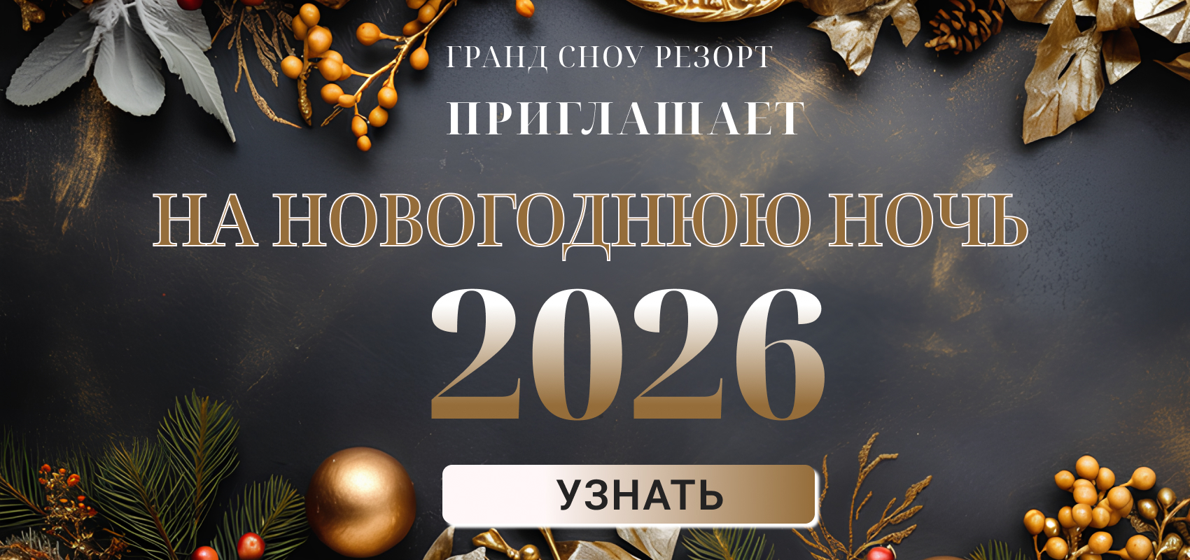 Приглашаем встречать Новый год!